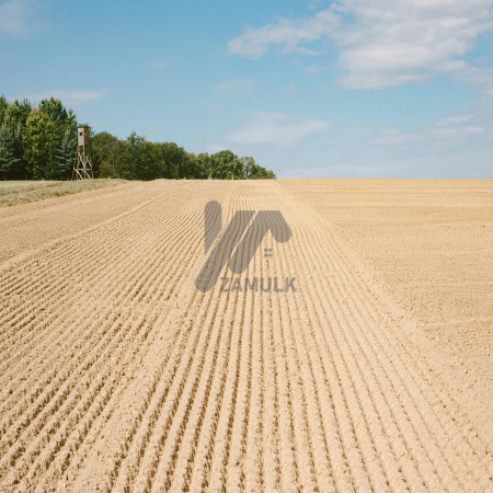 Best Industrial and Commercial Plots for Sale At Shiekhupura road Best For Investment