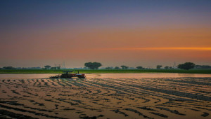 Best Industrial and Commercial Plots for Sale At Shiekhupura road Best For Investment