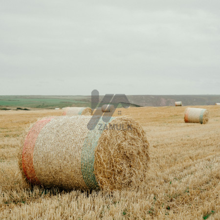 4 Kanal Industrial Plot for Sale at Shahkot Tool Plaza for Showroom, Schools, Colleges, Restaurents,