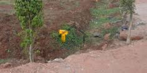 Plot Is Available For Sale