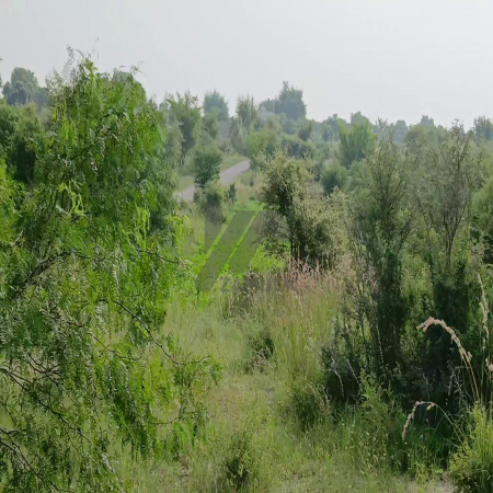 100 Kanals Agriculture Land for Sale Main Road with Water Dam in LAWA, District Talagang & Chakwal