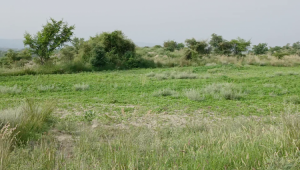 100 Kanals Agriculture Land for Sale Main Road with Water Dam in LAWA, District Talagang & Chakwal