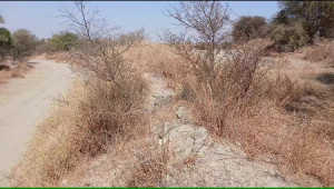 350 Kanals Agriculture Land for Sale in Lawa, Talagang, Chakwal