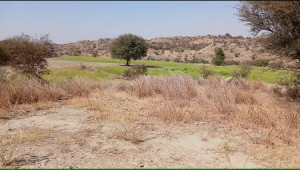 350 Kanals Agriculture Land for Sale in Lawa, Talagang, Chakwal