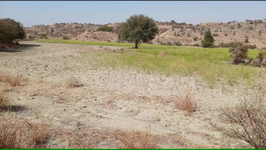 350 Kanals Agriculture Land for Sale in Lawa, Talagang, Chakwal