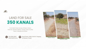 350 Kanals Agriculture Land for Sale in Lawa, Talagang, Chakwal