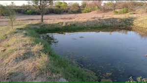 200 Kanals Agriculture Land for Sale in Lawa, Talagang, Chakwal