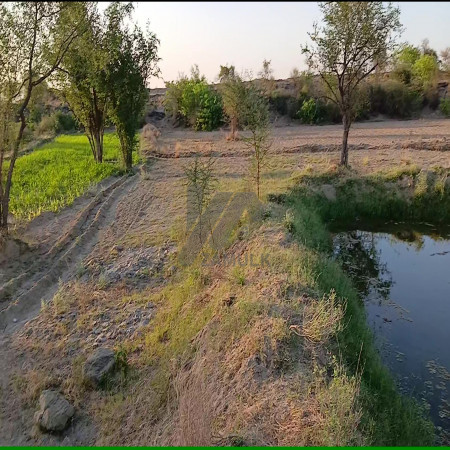 200 Kanals Agriculture Land for Sale in Lawa, Talagang, Chakwal