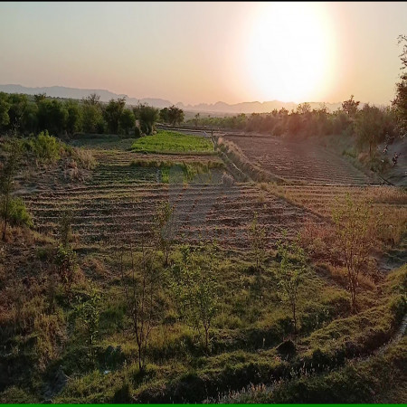 200 Kanals Agriculture Land for Sale in Lawa, Talagang, Chakwal