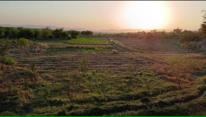 200 Kanals Agriculture Land for Sale in Lawa, Talagang, Chakwal