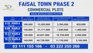 Faisal Town 13 Marla Commercial plot for sale