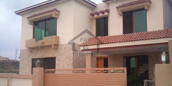 House With Basement For Rent