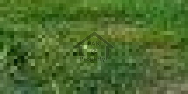 Residential Plot File Is Available For Sale