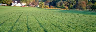 Residential Plot Is Available For Sale