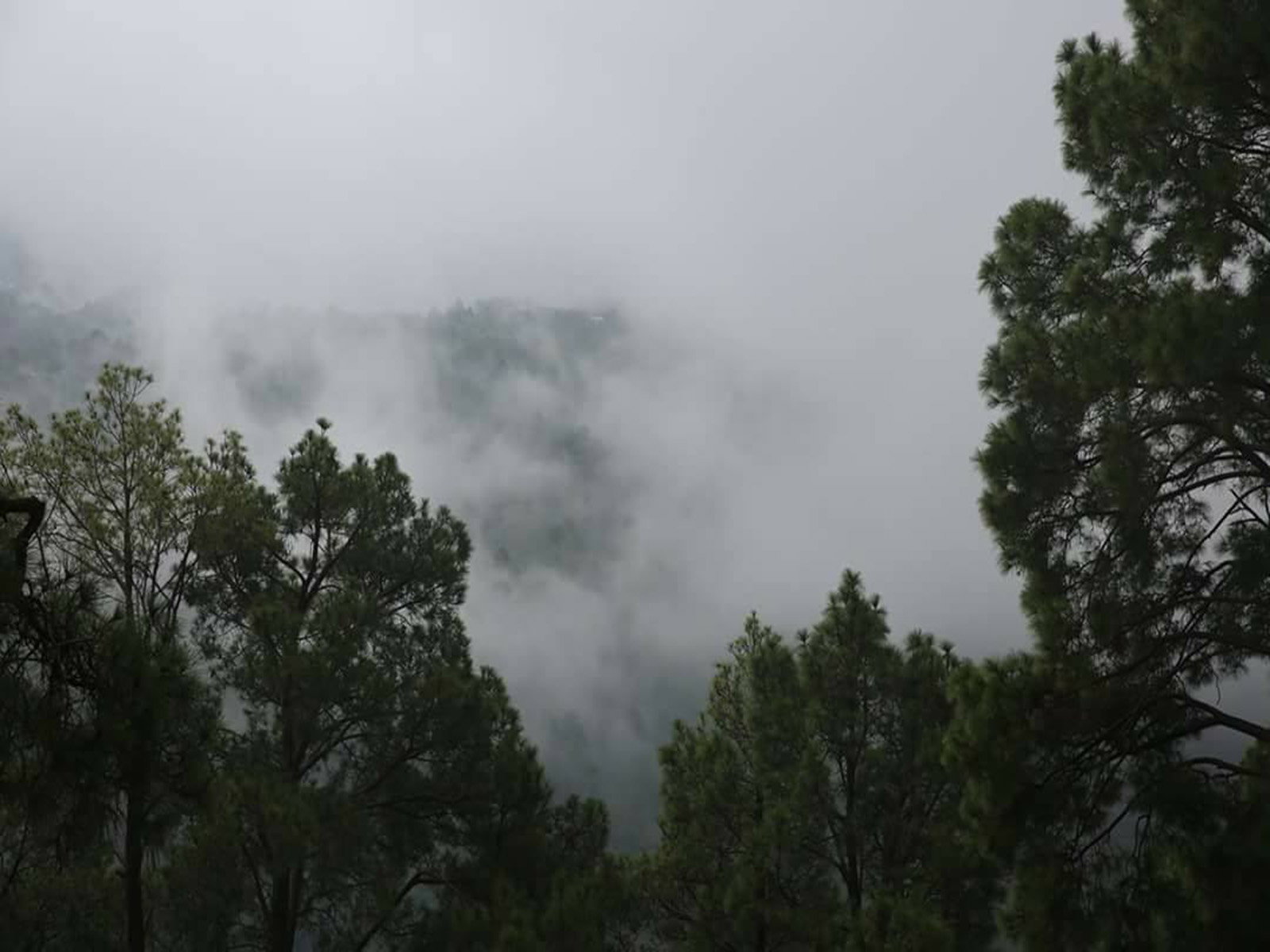 MURREE RESORTS